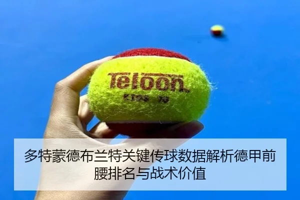 多特蒙德布兰特关键传球数据解析德甲前腰排名与战术价值